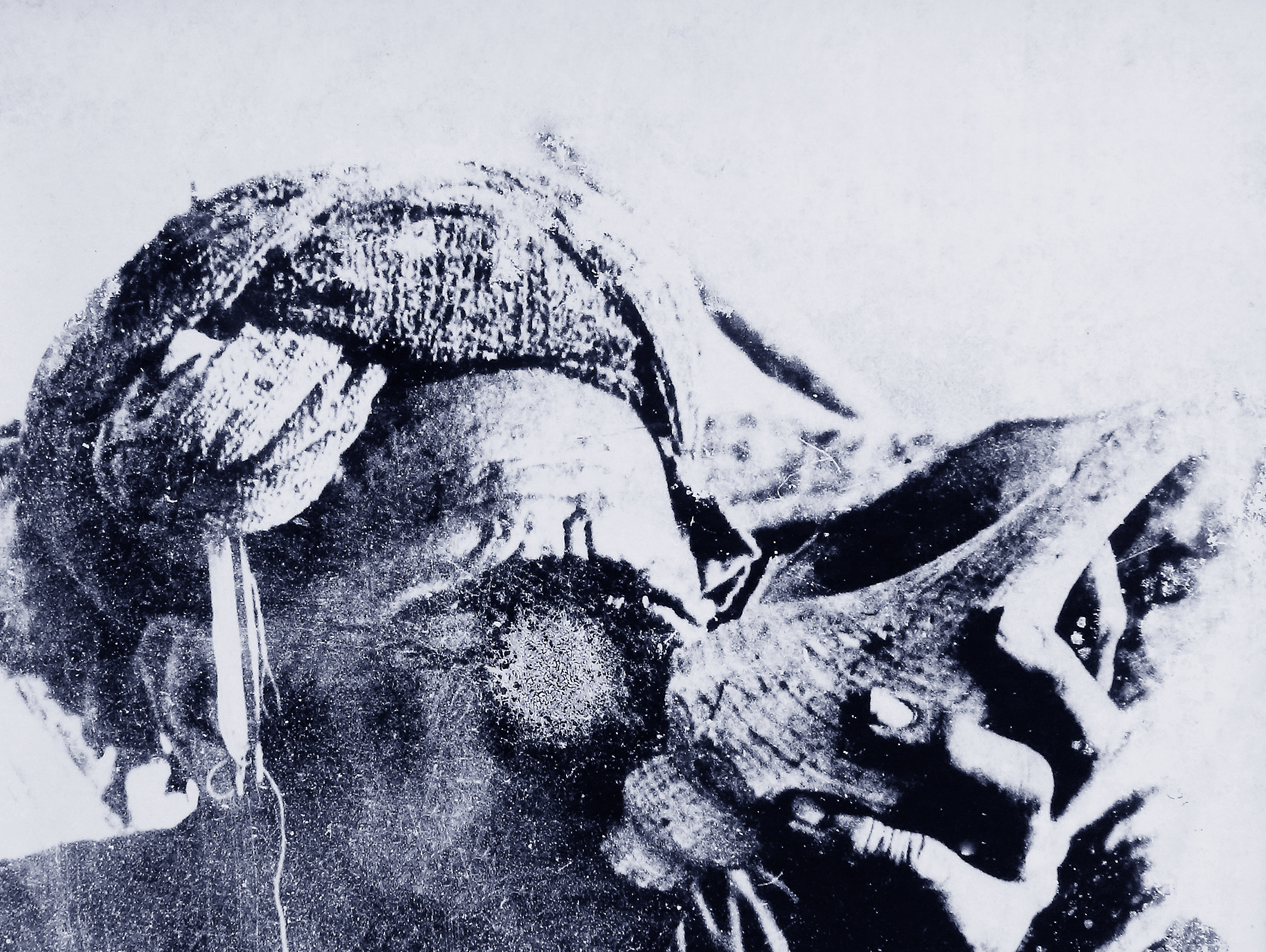 Người đàn ông thổi tù và báo hiệu cho dân làng.