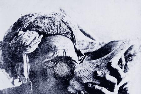 Người đàn ông thổi tù và báo hiệu cho dân làng.