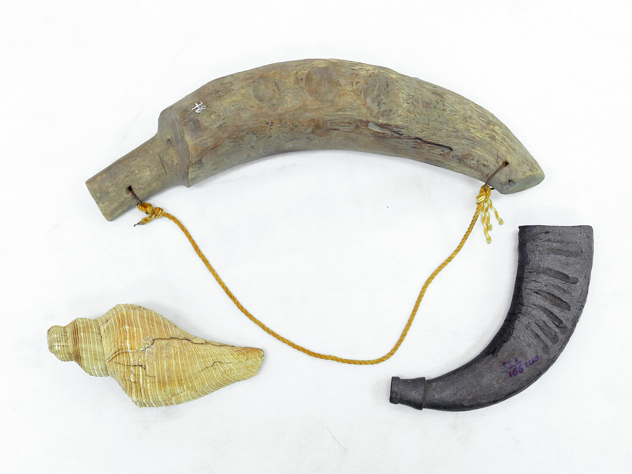 Mõ tre, tù và sừng trâu, tù và ốc 