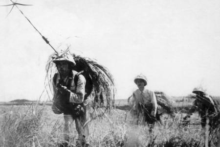 Thông tin Sư đoàn 351 thực hành đảm bảo thông tin liên lạc phục vụ diễn tập, ngày 20/9/1956