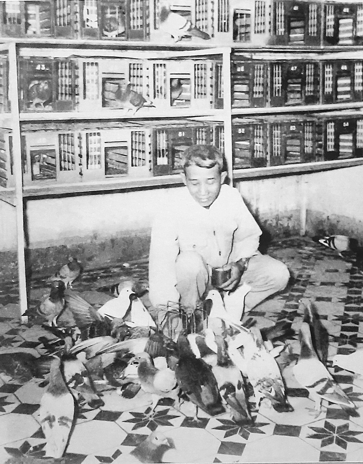 Bác Vị, cán bộ miền Nam tập kết ra Bắc mang theo đàn chim bồ câu, được huấn luyện đưa thư