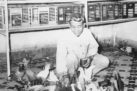 Bác Vị, cán bộ miền Nam tập kết ra Bắc mang theo đàn chim bồ câu, được huấn luyện đưa thư